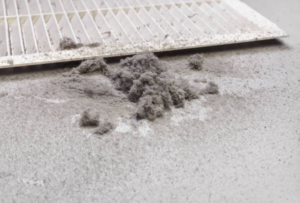 Best Ductwork Cleaning Services  in Eau Claire, WI