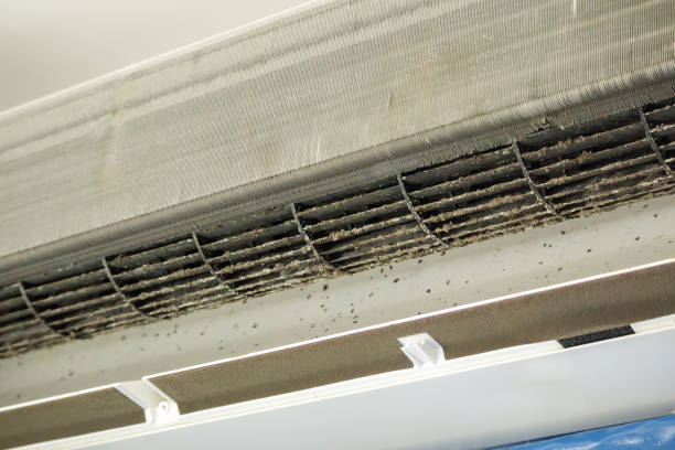 Best HVAC System Cleaning  in Eau Claire, WI